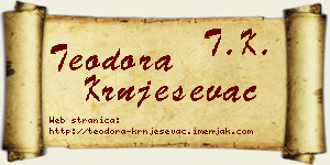Teodora Krnješevac vizit kartica